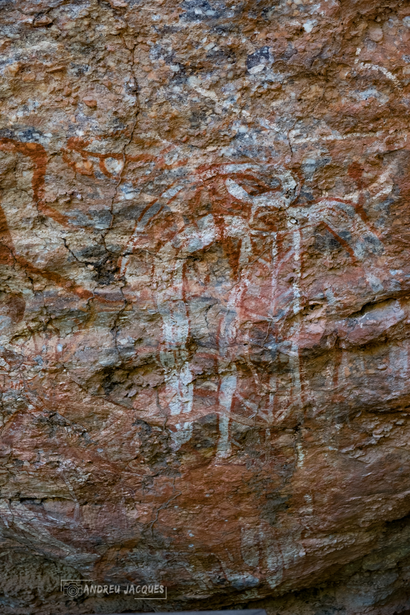 australie 2018-91.jpg